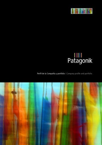 Perfil de la CompaÃ±Ã­a y portfolio / Company profile - Patagonik