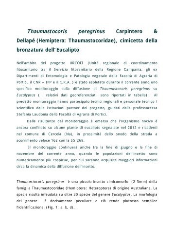 Scheda illustrativa - Regione Campania