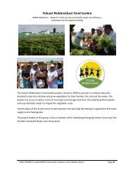 Vukani Makhosikazi Food Garden - iwrm