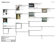 Pedigree Chart - The Grayson Family