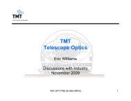 TMT Optics Discussions with Industry - Thirty Meter Telescope