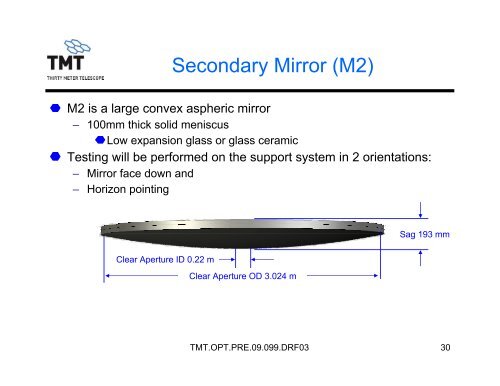 TMT Optics Discussions with Industry - Thirty Meter Telescope