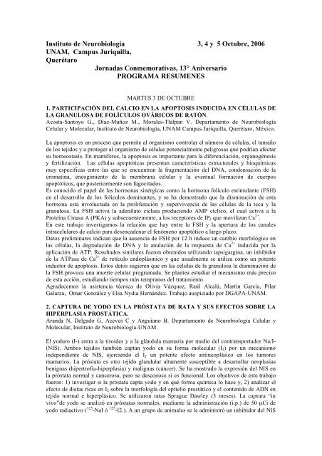 t2 pz prostata