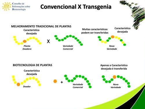 Biotecnologia na produção de alimentos e os benefícios de ... - CIB