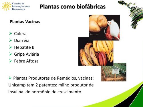 Biotecnologia na produção de alimentos e os benefícios de ... - CIB