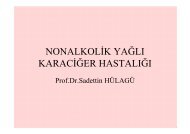 KaraciÄer YaÄlanmasÄ± - Prof. Dr. Sadettin HÃ¼lagÃ¼