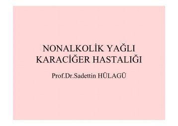 KaraciÄer YaÄlanmasÄ± - Prof. Dr. Sadettin HÃ¼lagÃ¼