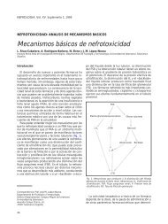 Mecanismos bÃ¡sicos de nefrotoxicidad - Revista Nefrologia