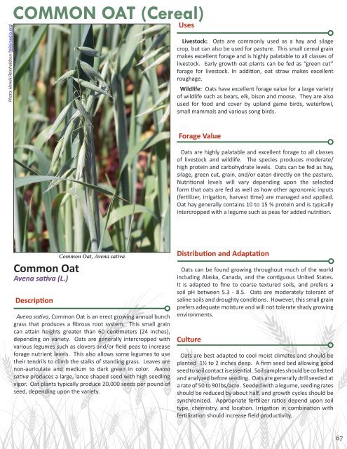 Alaska Forage Manual - Alaska Plant Materials Center - State of ...