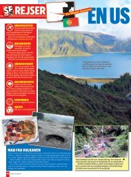 Read article - Visit Azores