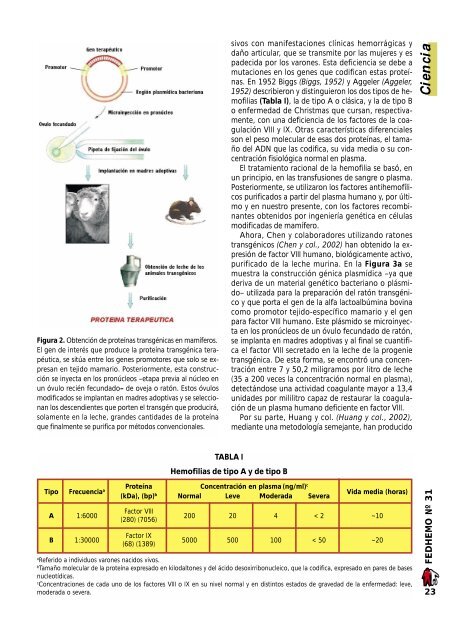 Revista Fedhemo NÂº 31 - Hemofilia