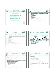 Overview 1. IP Rights: Overview 1. IP Rights - Lehrstuhl Zivilrecht VIII ...