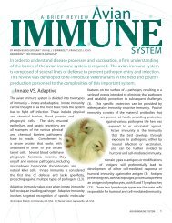 Avian Immune System - Merial Article [PDF File]