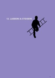 12. LADDERS & STEIGERS - Welkom bij Pro@Work