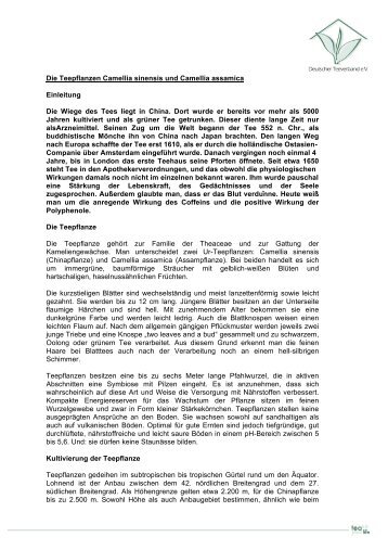 Download pdf - Deutscher Teeverband e.V.