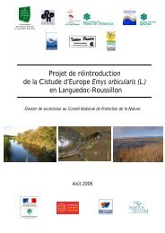 Rapport de prÃ©sentation du projet de rÃ©introduction - Coord. CEN ...
