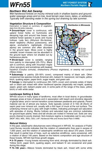 WFn55 Northern Wet Ash Swamp factsheet