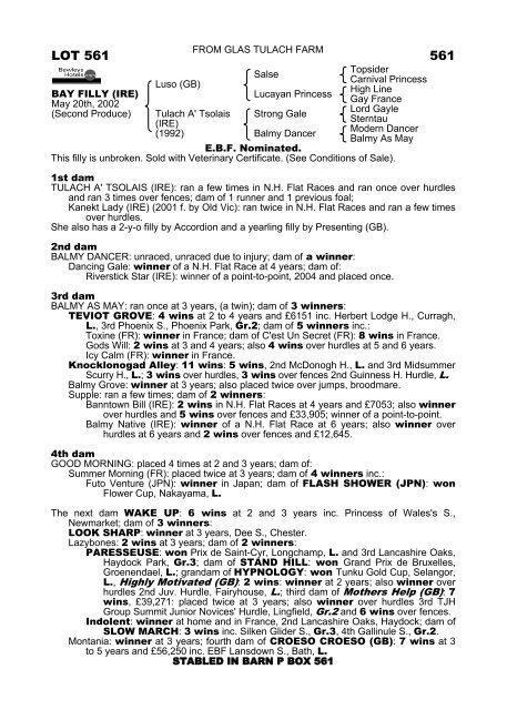 LOT 561 561 - Tattersalls (Ireland)