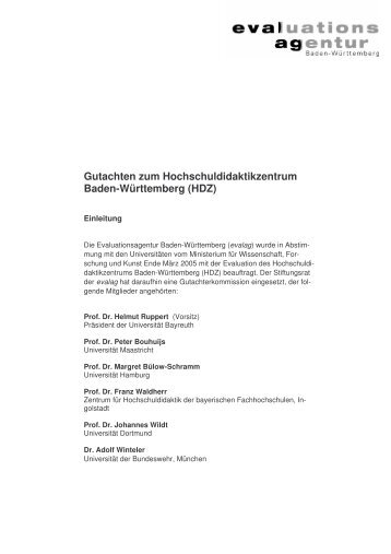 Gutachten zum Hochschuldidaktikzentrum Baden-Württemberg (HDZ)