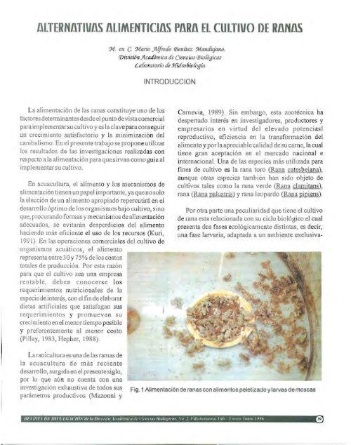 alternativas alimenticias para el Cultivo ranas - Publicaciones