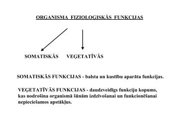 ORGANISMA FIZIOLOĂISKĀS FUNKCIJAS SOMATISKĀS ...