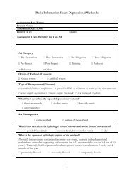 Basic Information Sheet: Depressional Wetlands - Cram