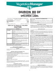 DIURON 80 DF Specimen Label
