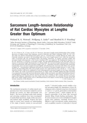 Sarcomere Length–tension Relationship of Rat Cardiac Myocytes at ...