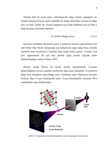 r - Fen Bilimleri Enstitüsü - Dokuz Eylül Üniversitesi