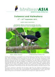 Sulawesi and Halmahera - Birdtour Asia