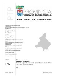 Relazione Illustrativa - Provincia del Verbano Cusio Ossola