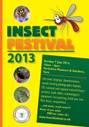 Insect Festival - Royal Entomological Society