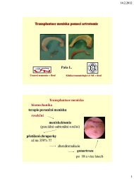 Transplantace menisku pomocí artrotomie (PDF - 0,86 MB) - SSTA