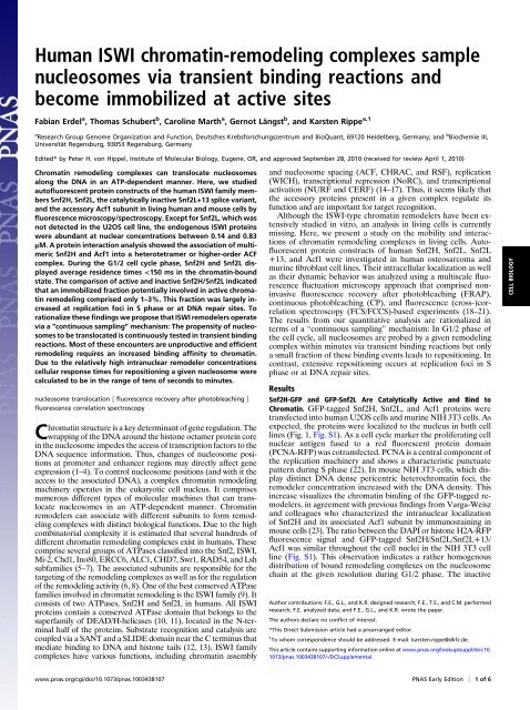 Human ISWI chromatin-remodeling complexes sample ...