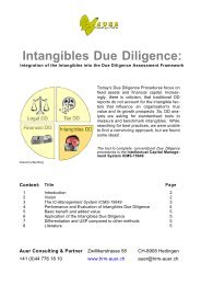 Intangibles Due Diligence - Auer Consulting & Partner