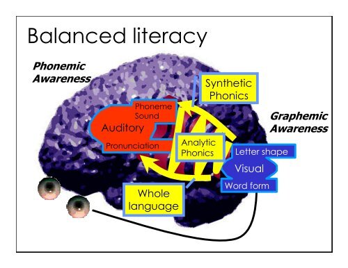 Dr Duncan Milne - Dyslexia International