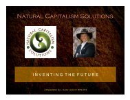 download slides - Natural Capitalism Solutions