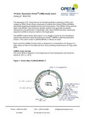 Product: Expression ArrestTM pSM2 empty vector Catalog ... - Bioxys