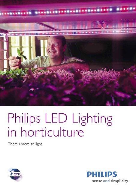 Philips 2024 lighting usa