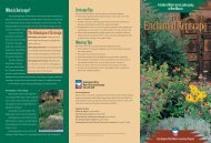 The Enchanted Xeriscape