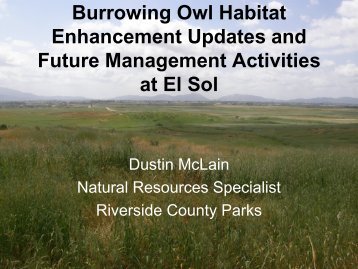 Burrowing Owl Habitat Enhancement Update and Potential Future ...