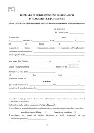 domanda di autorizzazione allo scarico di acque reflue ... - R@cine