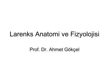 Larenks Anatomi ve Fizyolojisi