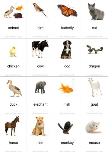 Printable PDF Flashcards (English -> Chinese + ... - Semanda.com