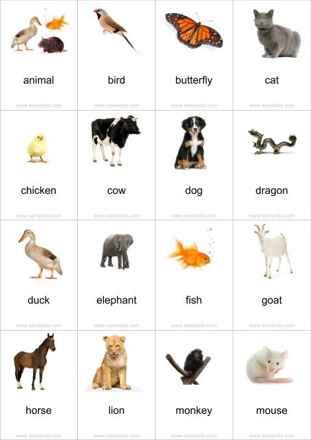 Printable Pdf Flashcards English Chinese Semanda Com