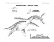 Scale Drawings of Cretaceous Critters - Gsenmschool.org
