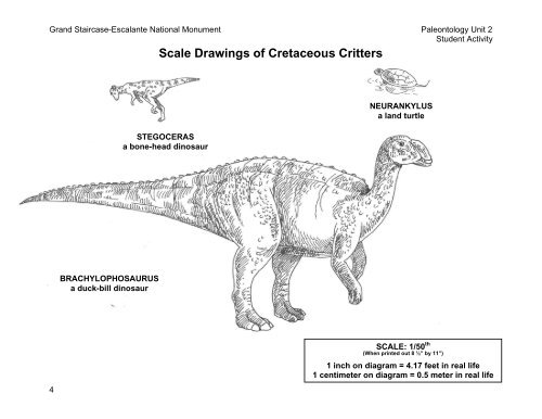 Scale Drawings of Cretaceous Critters - Gsenmschool.org
