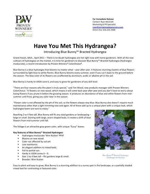 Have You Met This Hydrangea? Introducing Blue ... - Proven Winners