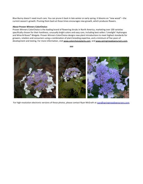 Have You Met This Hydrangea? Introducing Blue ... - Proven Winners