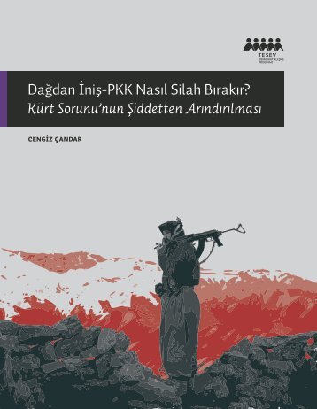 11452 SilahsizlandirmaWEB